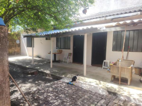 Pé de Pitanga - única casa arborizada do quarteirão com árvores frutíferas